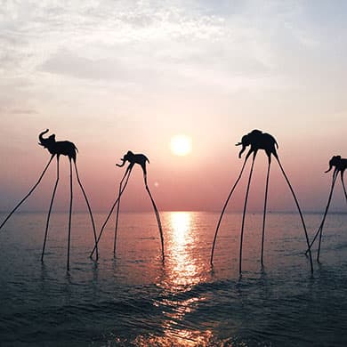 飞往富国岛的廉价航班